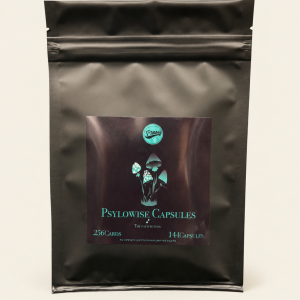 Psylowise Capsules – Pumpkin Head Blues