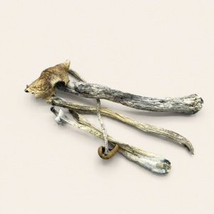 Dried Antioxidant Mushrooms – Texas Penis Envy